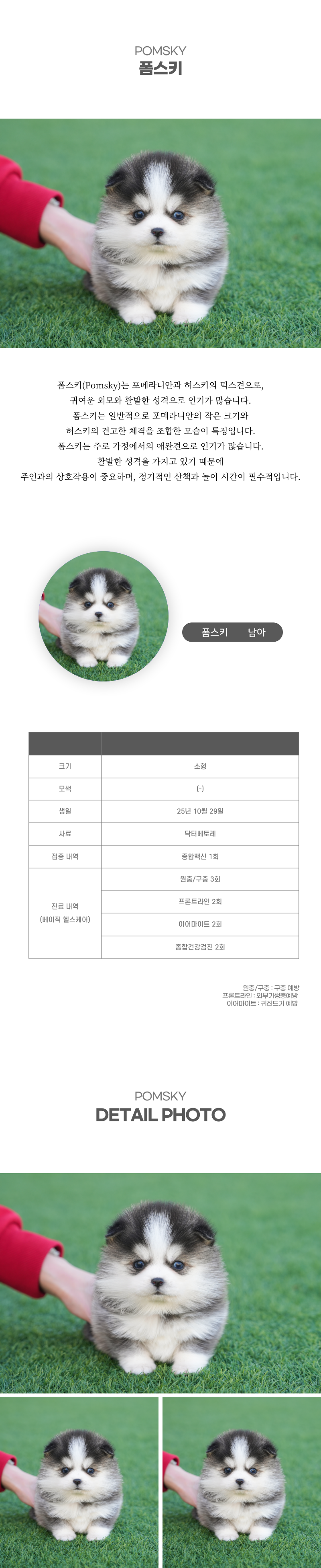 폼스키_상세이미지_2